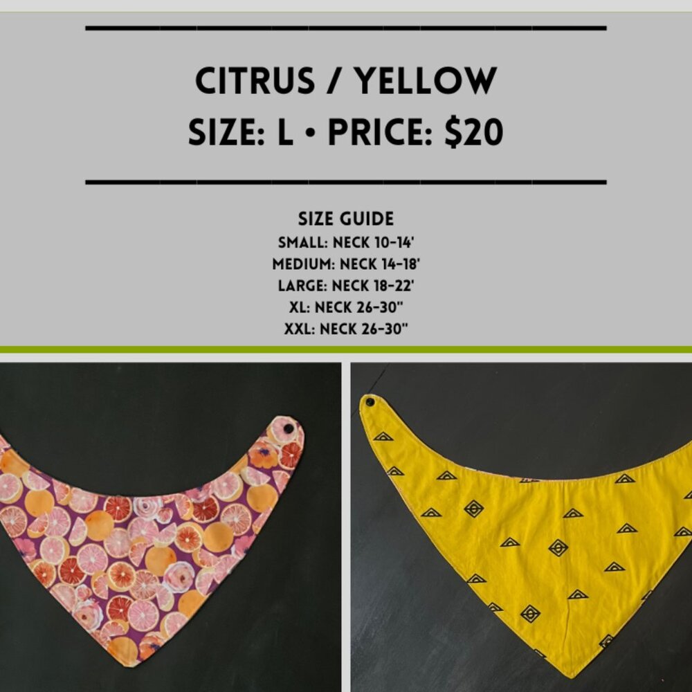 *NOW FOR $15* Citrus Bandana- Large 18-22" *W/ DISCOUNT SHIPPING*